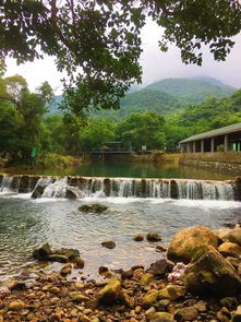 圖 南澳農家樂楊梅坑cs野戰野炊單車秋游公司聚會好去處 深圳旅游