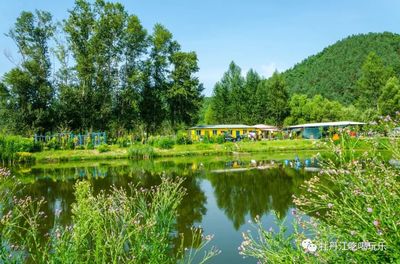 『大楊樹魚莊』農家樂里享田園、品美食,好吃又好玩~