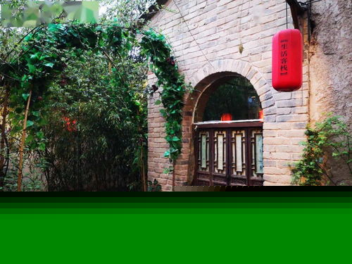 寇店鎮赴袁家村 取經 學習