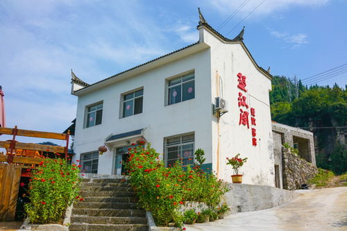 紅樹林保護區圖片素材下載 自然風景素材下的海洋海島圖片素材